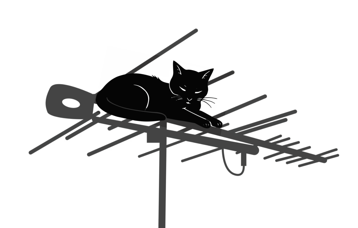 TV or not TV,  That is the&nbsp;question.